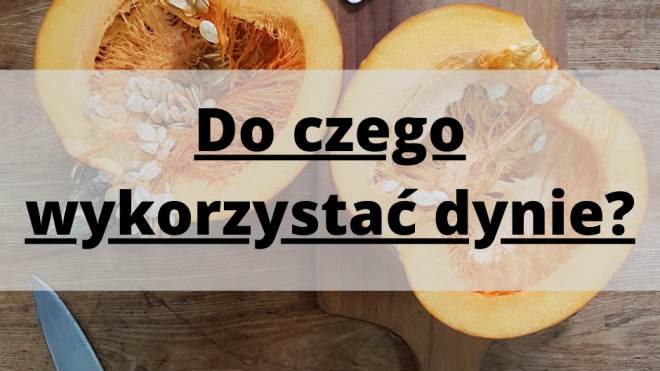 Do czego wykorzystać dynie?