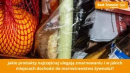 Jakie produkty najczęściej się marnują i gdzie dochodzi do marnowania żywności?